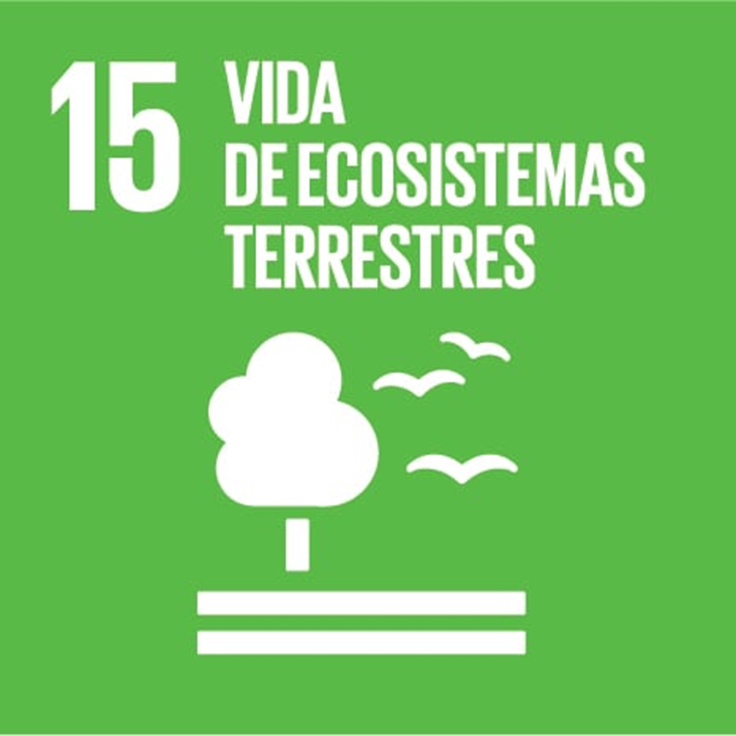 ODS 15: VIDA DE ECOSISTEMAS TERRESTRES